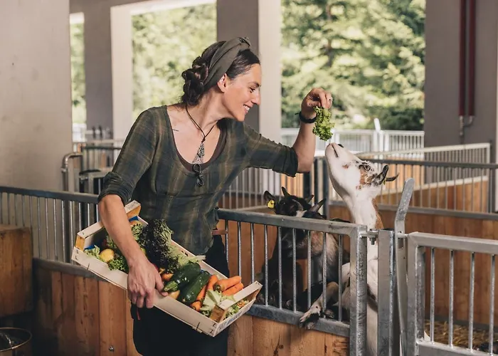 Hotel Klosterbräu 5*